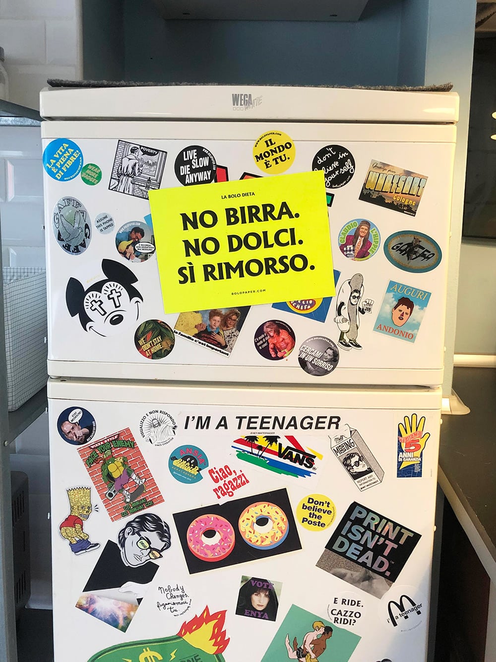 BOLO DIETA fridge magnet