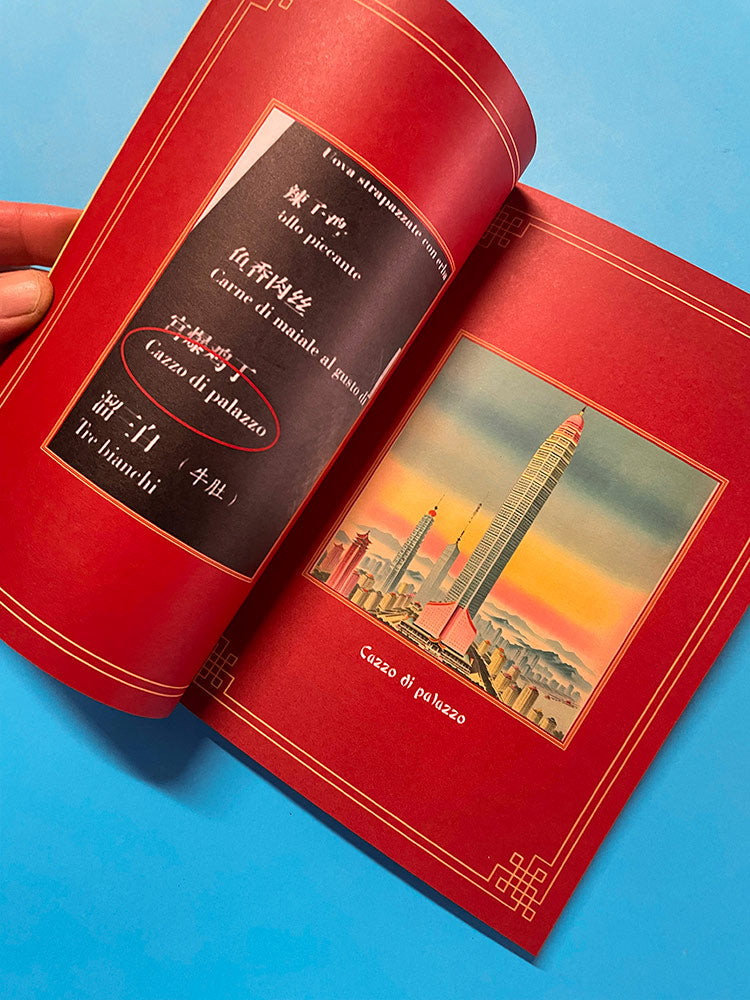 MALEDETTA ANATRA - Menù cinesi tradotti male