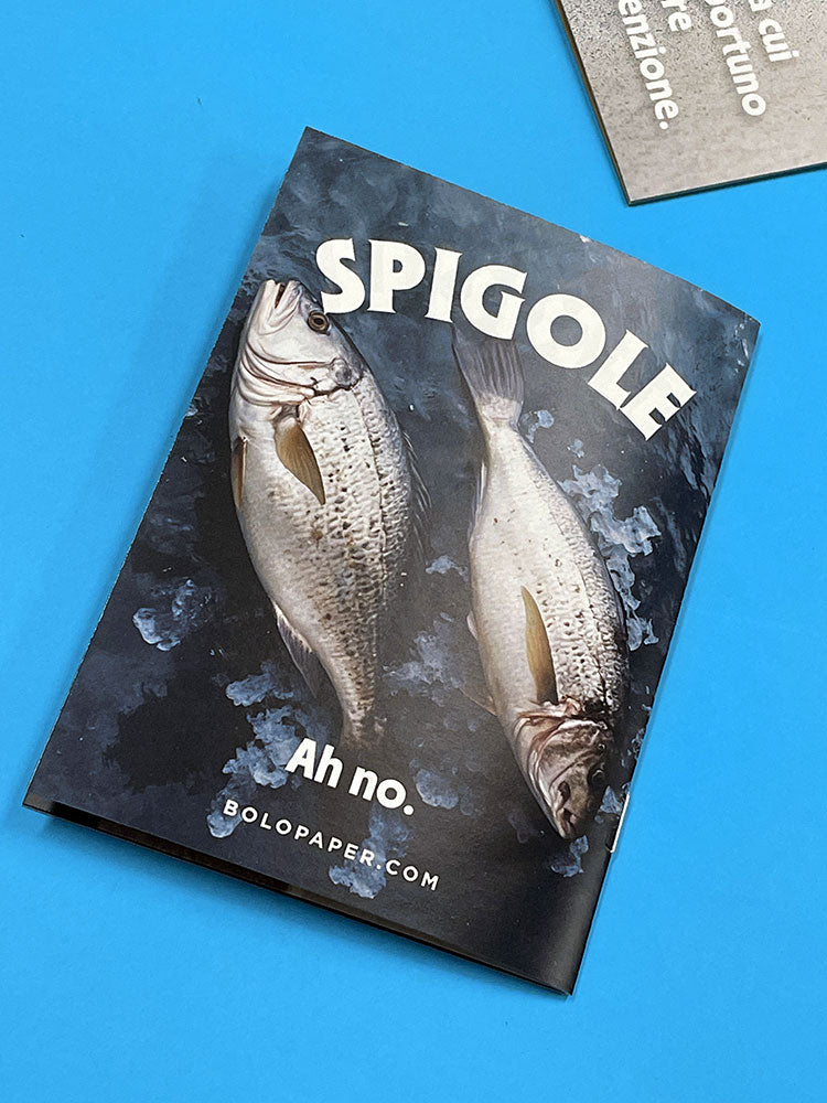 Spigoli