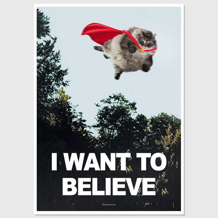I WANT TO BELIEVE — Poster