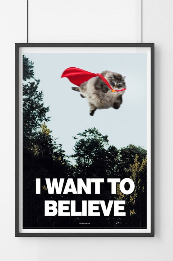 I WANT TO BELIEVE — Poster